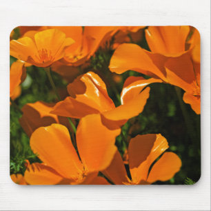 California Poppies Mousepad