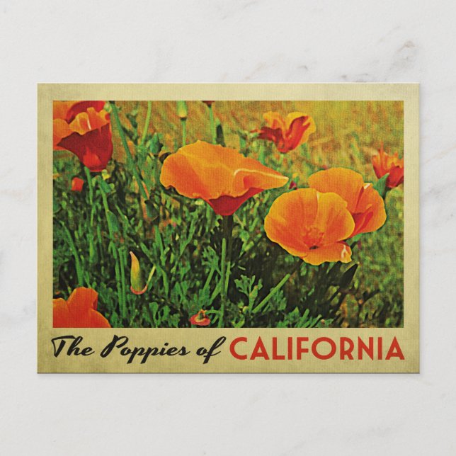 California Poppies Postcard (Front)