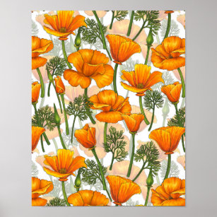 California poppies poster