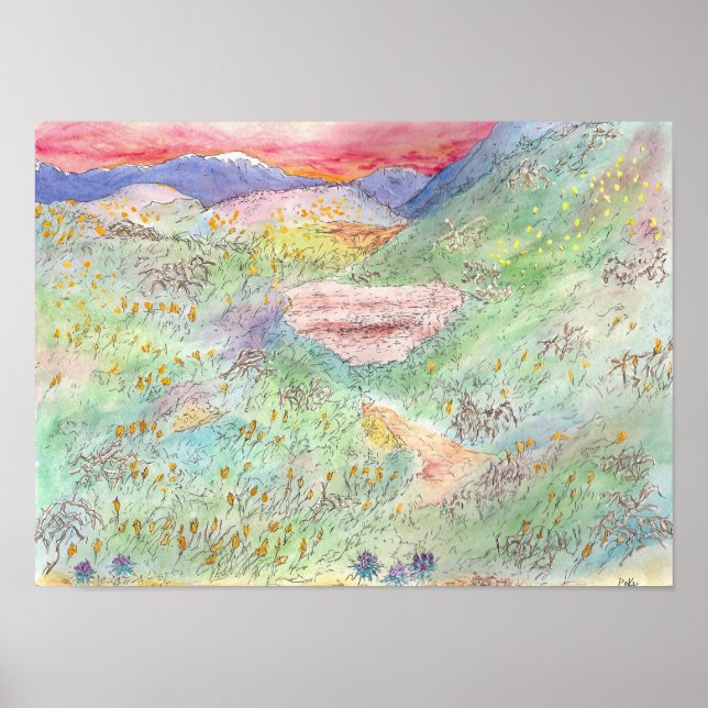 California Poppies Poster (Front)