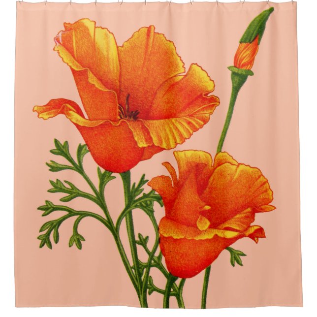 California poppies print shower curtain (Front)