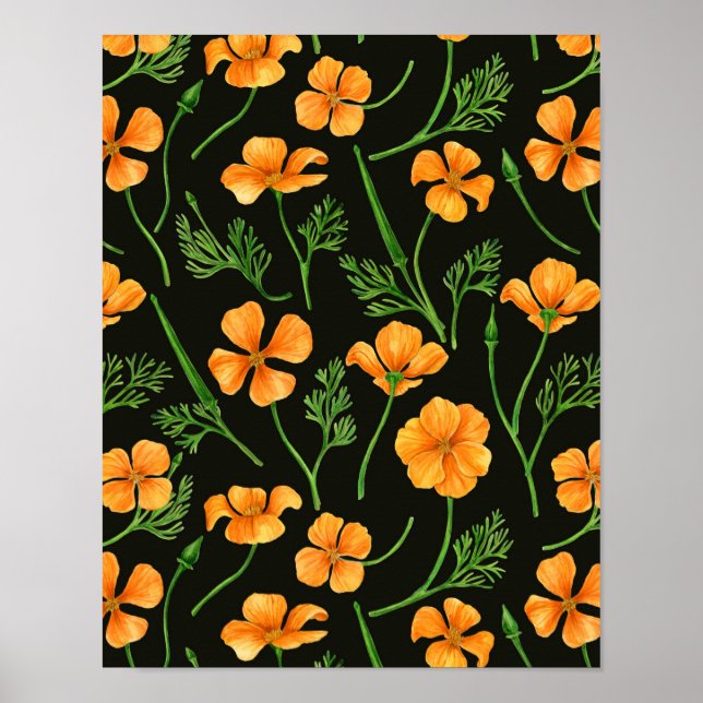 California poppies, summertime flowers, orange wil poster (Front)