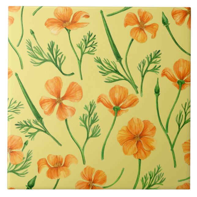 California poppies, summertime flowers, orange wil tile (Front)