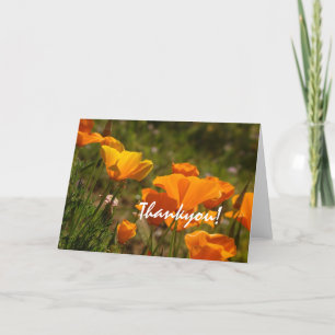 California Poppies Thankyou! Card