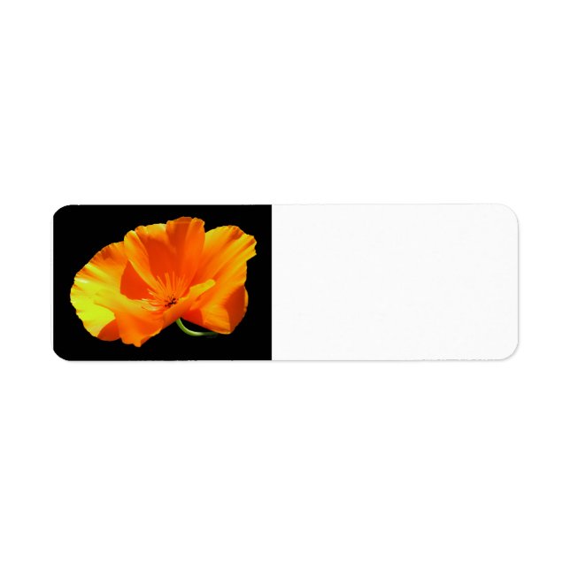 California Poppy (Front)