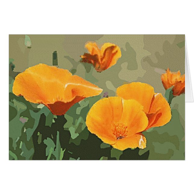 California Poppy (Front Horizontal)