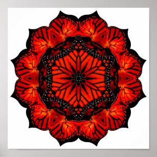 California poppy and monarch collage - Print