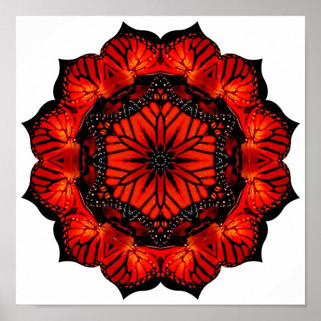 California poppy and monarch collage - Print (Front)