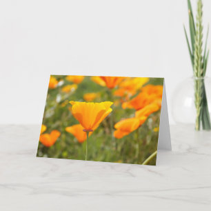 California Poppy Blank Greeting Card