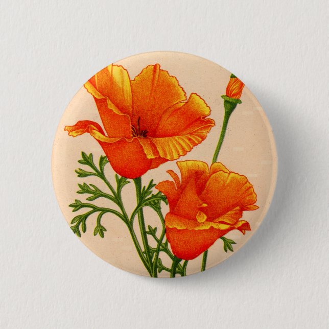 California poppy California poppies in orange 6 Cm Round Badge (Front)