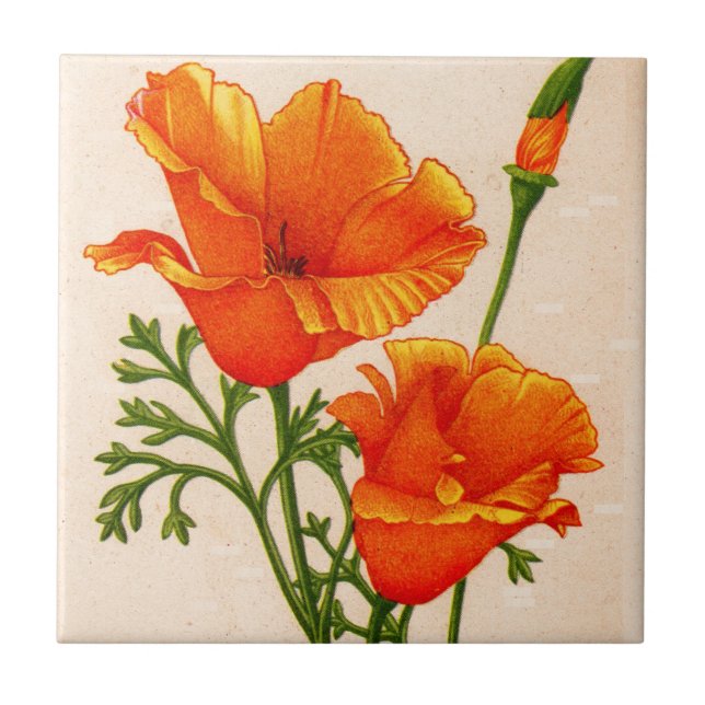 California poppy California poppies in orange Tile (Front)