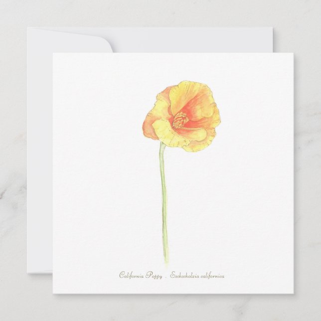 California Poppy   Card (Front)