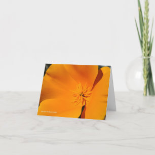 California Poppy Card