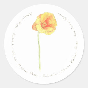 California Poppy  Classic Round Sticker