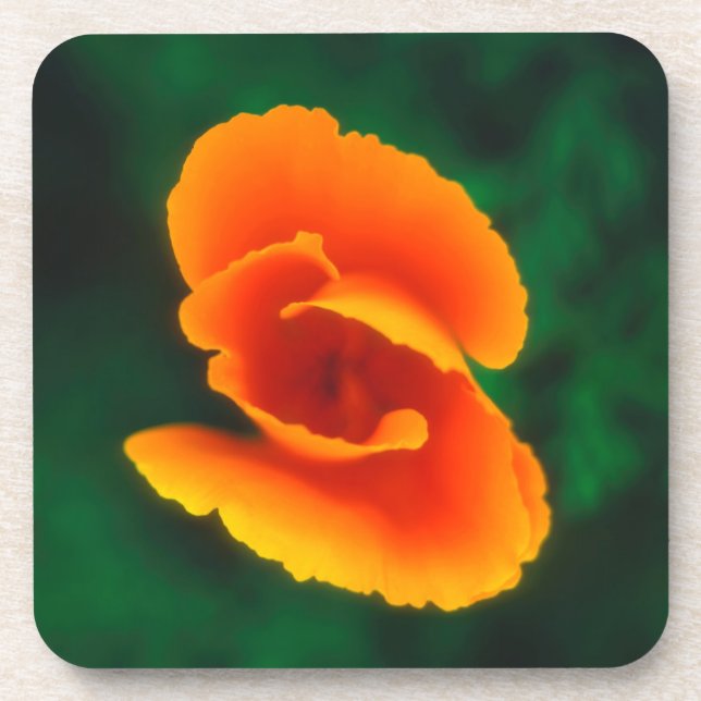 California Poppy Coaster (Front)