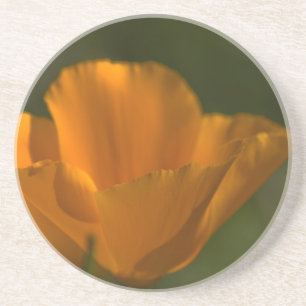 California Poppy Coaster