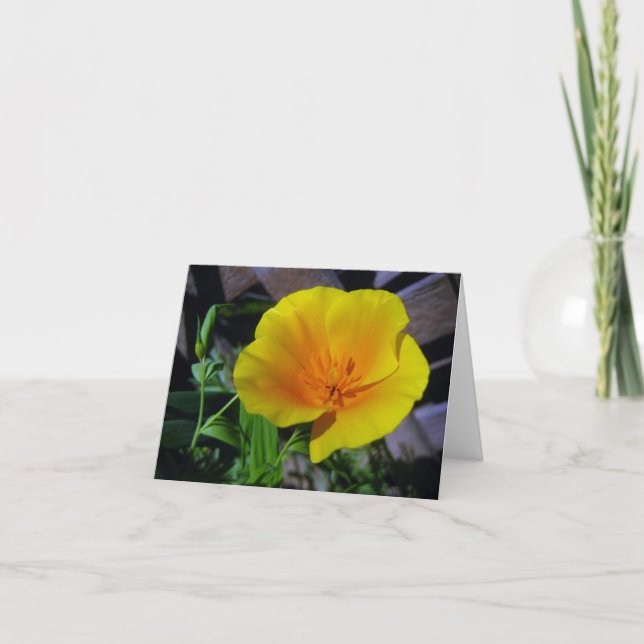 California Poppy Greeting Card (Front)