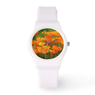 california poppy impasto watch