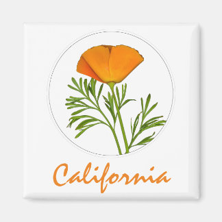 California Poppy in a Circle, "California" Text Magnet