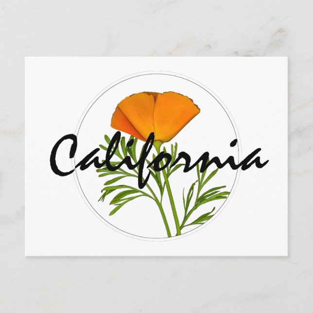 California Poppy in a Circle, "California" Text Postcard (Front)