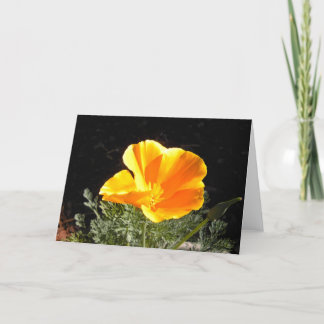 California Poppy in Bloom Card