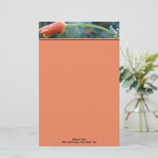 California Poppy Morning Frost Photo Personalised Stationery (Standing Front)
