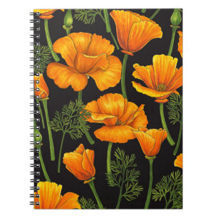 California poppy notebook