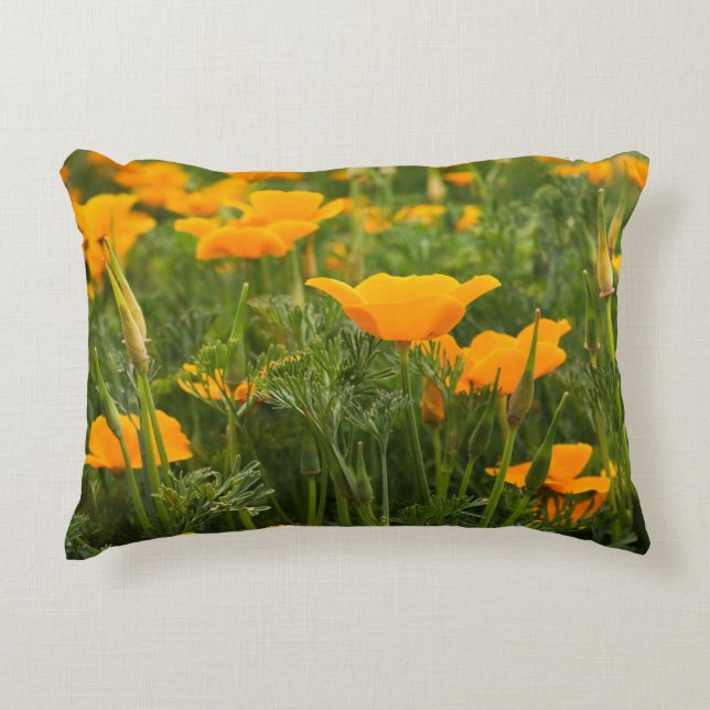California Poppy Patch Photograph Decorative Cushion (Front)