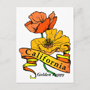 California Poppy Postcard