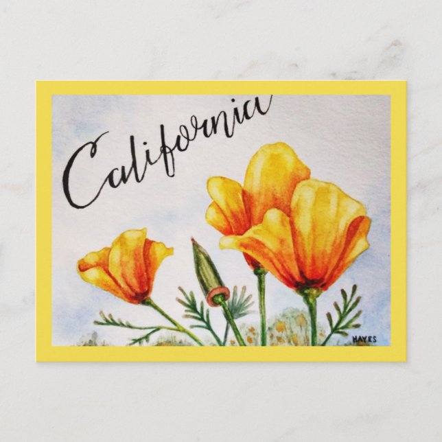 California Poppy Postcard (Front)
