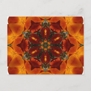 California poppy - Postcard