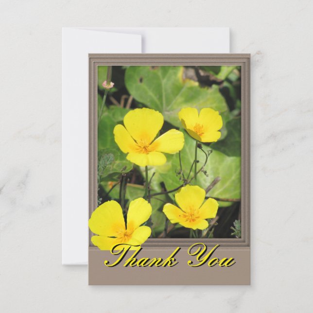 California Poppy  Thank You Card (Front)