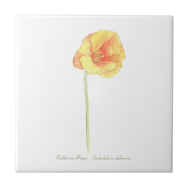 California Poppy  Tile (Front)