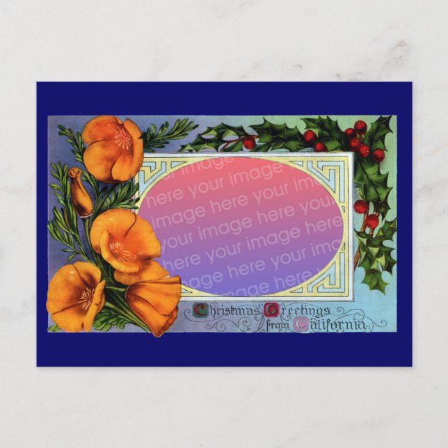 California Poppy Vintage Christmas Frame Holiday Postcard (Front)