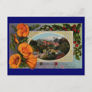 California Poppy Vintage Christmas Holiday Postcard