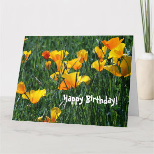 California Poppy Wildflower Birthday Greeting Card