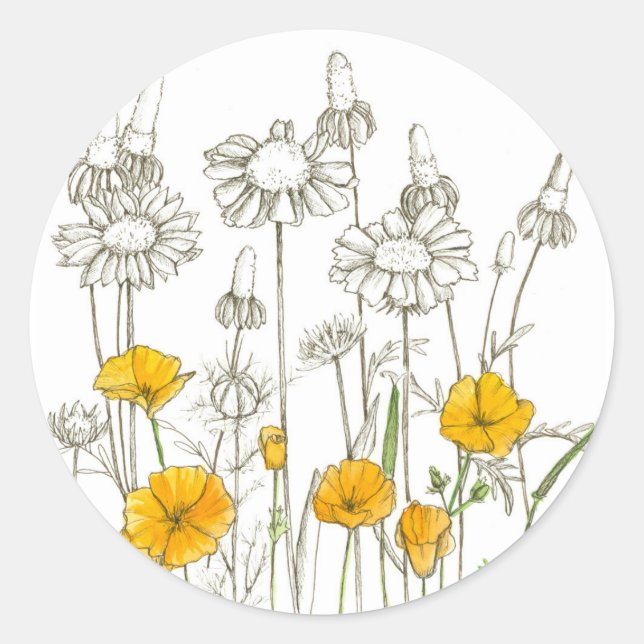 California Poppy Wildflower Ink Drawing Classic Round Sticker (Front)