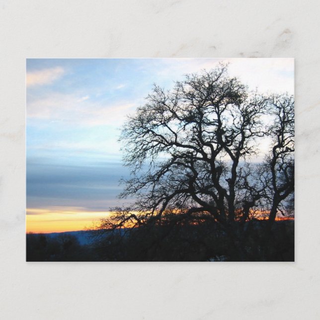 California Postcard (Front)