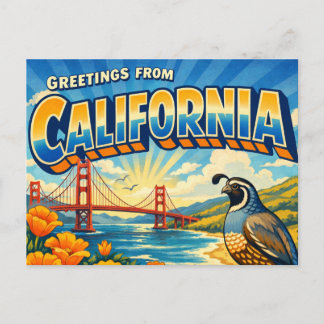CALIFORNIA Postcard