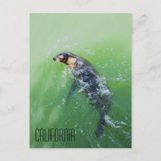 California Postcard