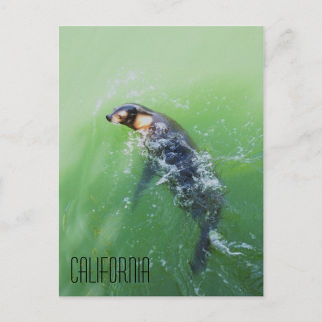 California Postcard (Front)