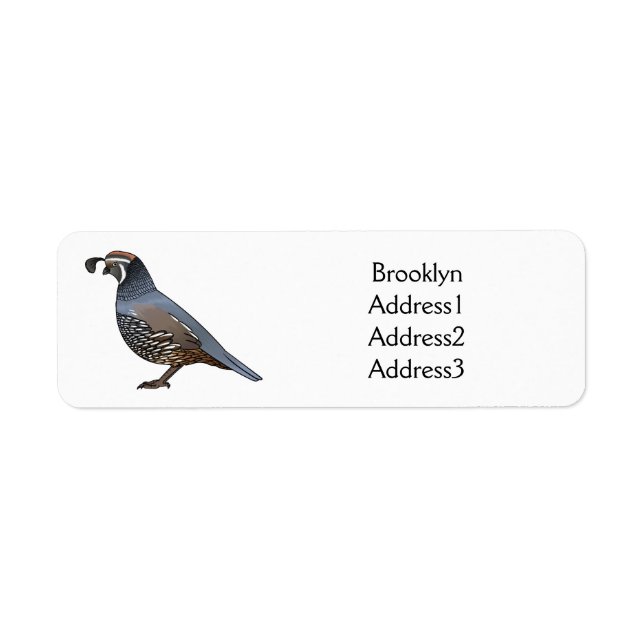 California quail bird cartoon illustration (Front)