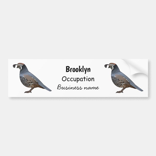 California quail bird cartoon illustration bumper sticker (Front)