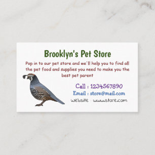 California quail bird cartoon illustration business card
