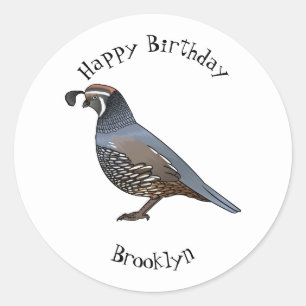 California quail bird cartoon illustration  classic round sticker