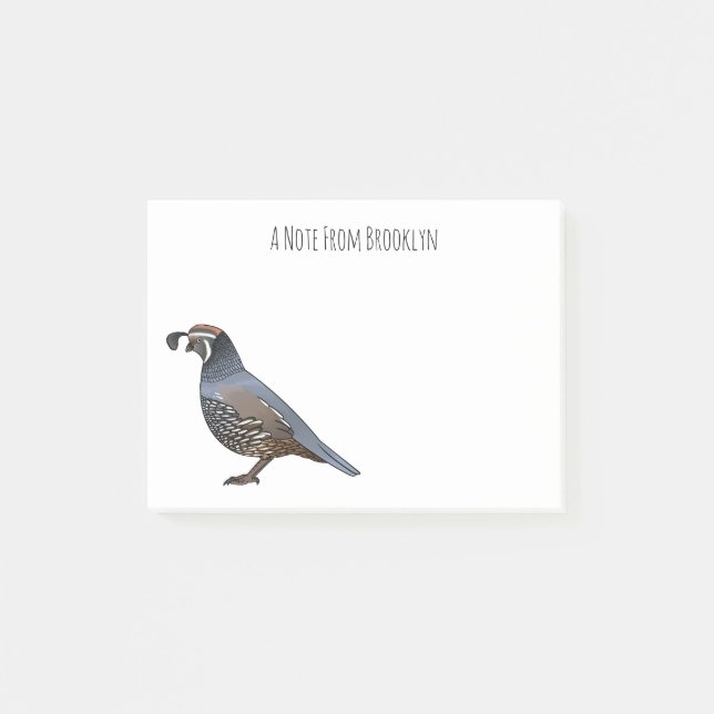 California quail bird cartoon illustration  post-it notes (Front)