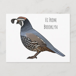 California quail bird cartoon illustration postcard