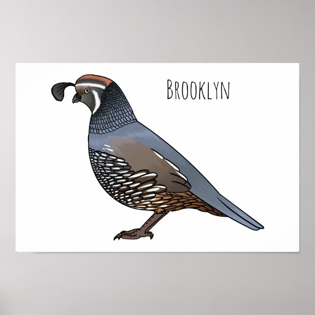 California quail bird cartoon illustration  poster (Front)