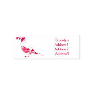 California quail bird cartoon illustration self-inking stamp