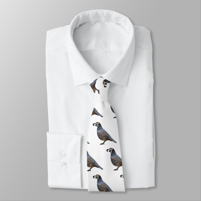 California quail bird cartoon illustration  tie (Tied)